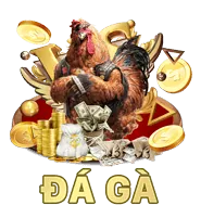 Hiệu suất nhanh chóng của 678win app